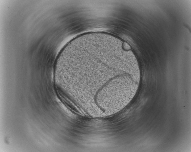 X0000098161420200805151218