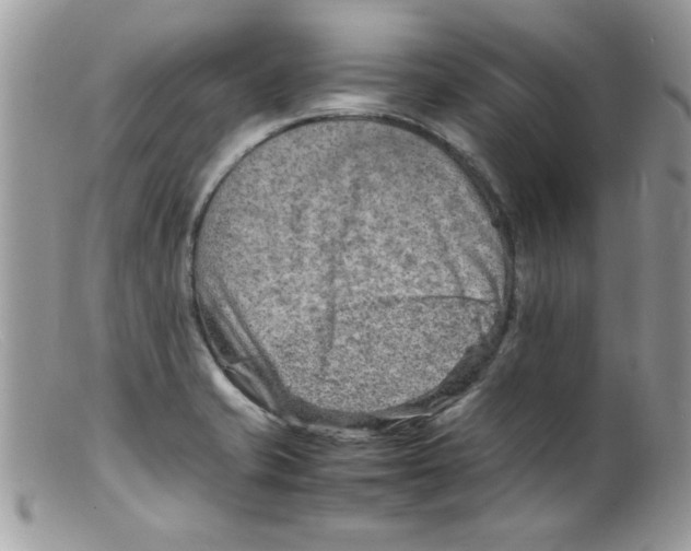 X0000098161421200805151218
