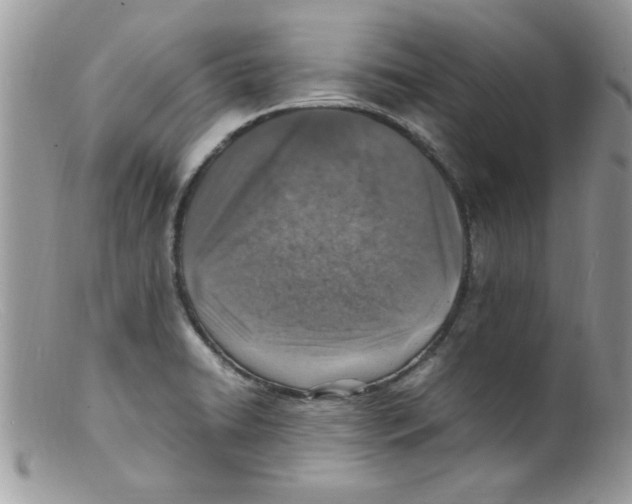 X0000098161422200805151218