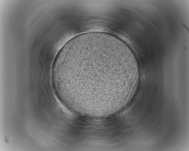 X0000098161423200805151218