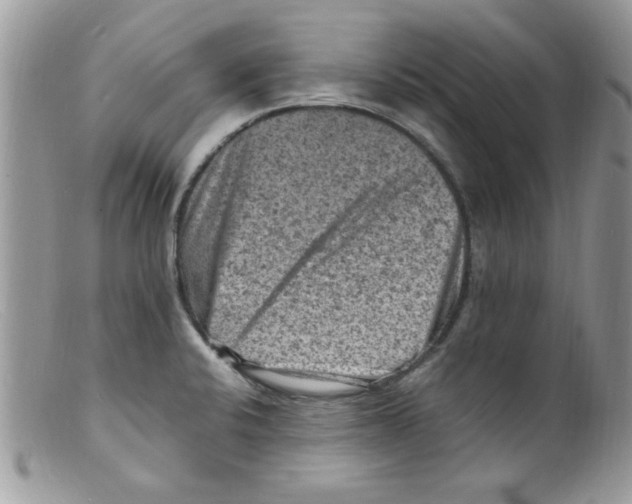 X0000098161424200805151218