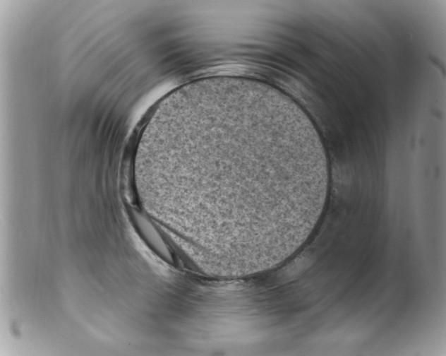 X0000098161426200805151218