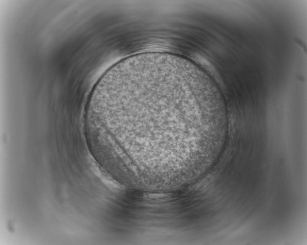 X0000098161427200805151218