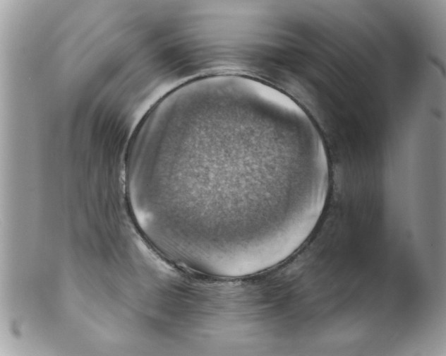 X0000098161428200805151218