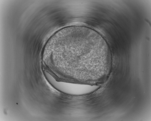 X0000098161430200805151218