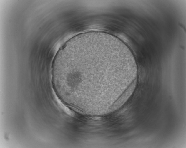 X0000098161431200805151218