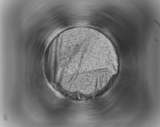 X0000098161432200805151218
