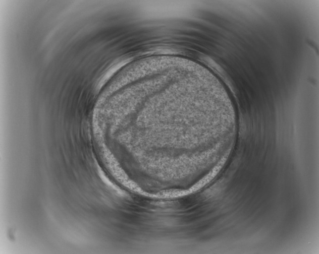 X0000098161433200805151218