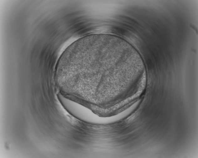 X0000098161434200805151218