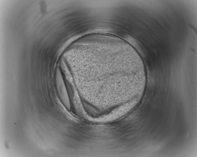 X0000098161436200805151218