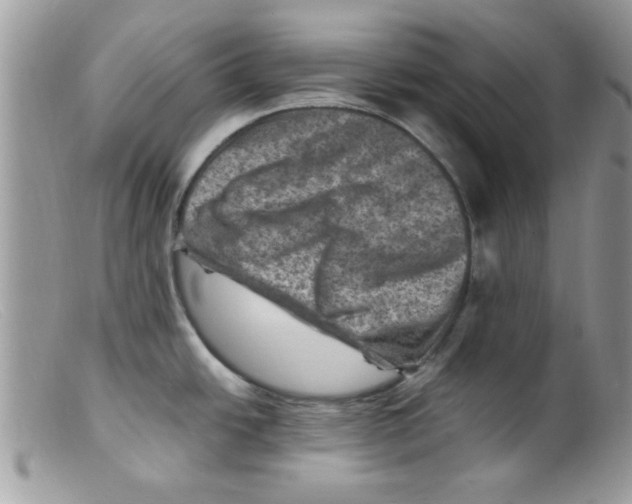 X0000098161438200805151218