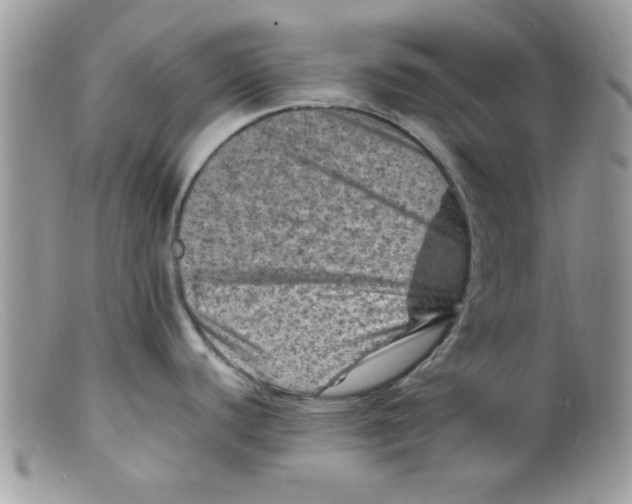 X0000098161440200805151218