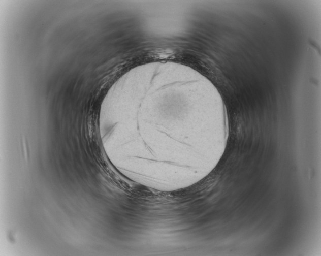 X0000098161442200805151218