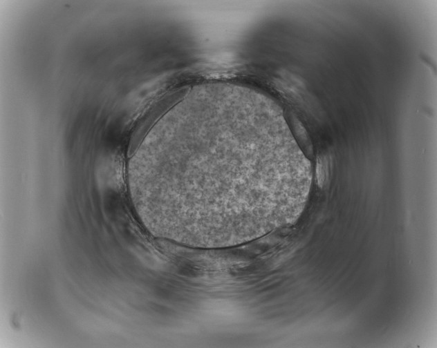 X0000098161444200805151218