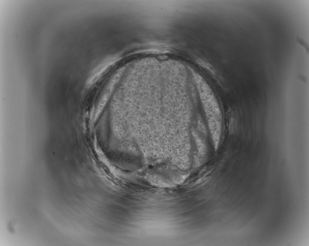 X0000098161448200805151217