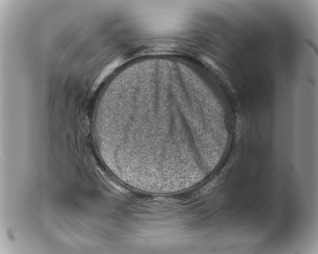 X0000098161449200805151217