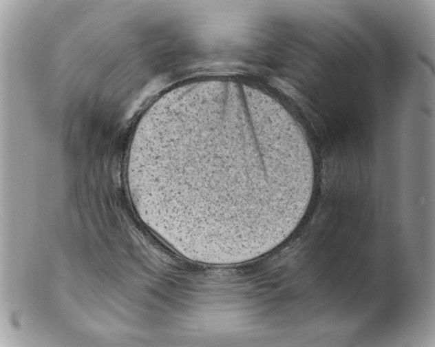 X0000098161451200805151217