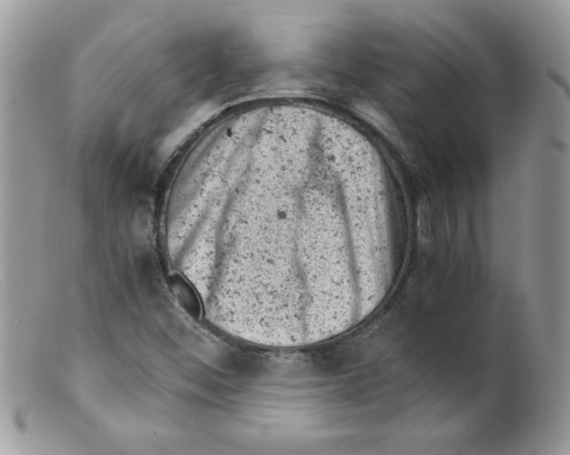 X0000098161452200805151217