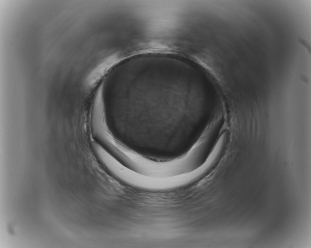 X0000098161455200805151217