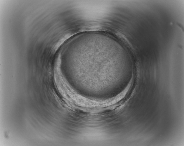 X0000098161457200805151217