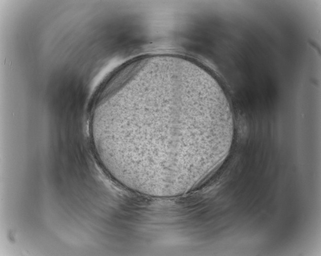 X0000098161462200805151217