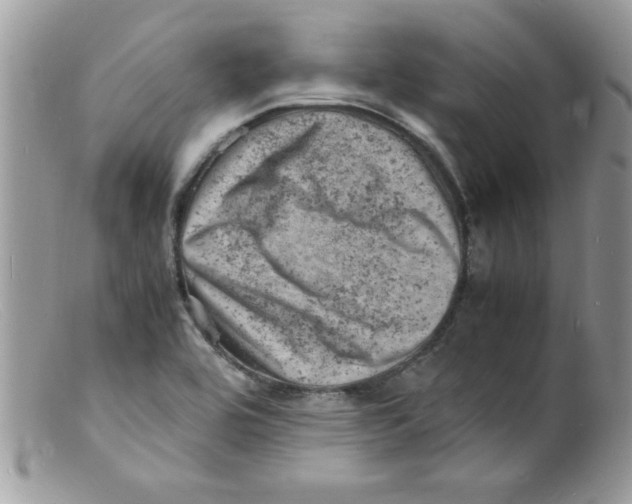 X0000098161464200805151217
