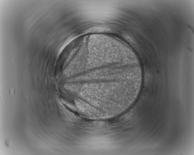 X0000098161465200805151217