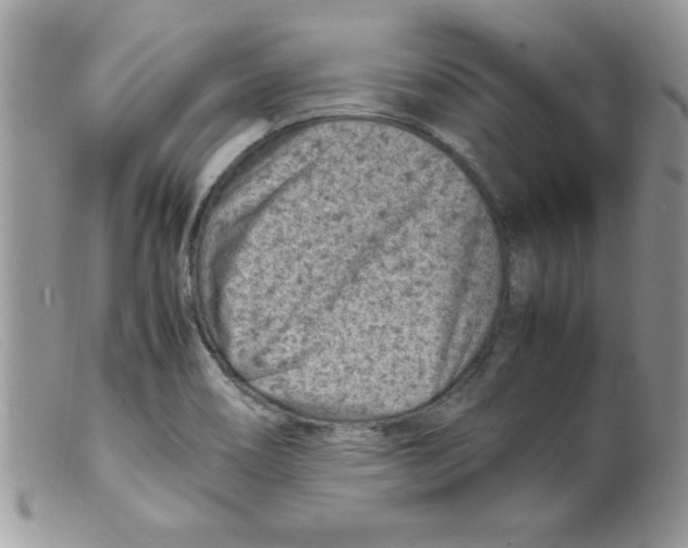 X0000098161466200805151217