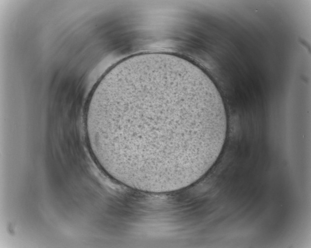 X0000098161470200805151217