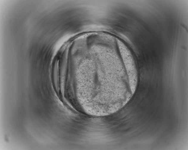 X0000098161472200805151217
