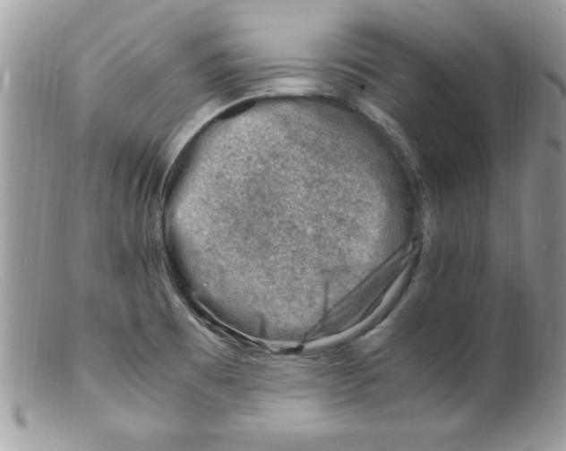 X0000098161473200805151217