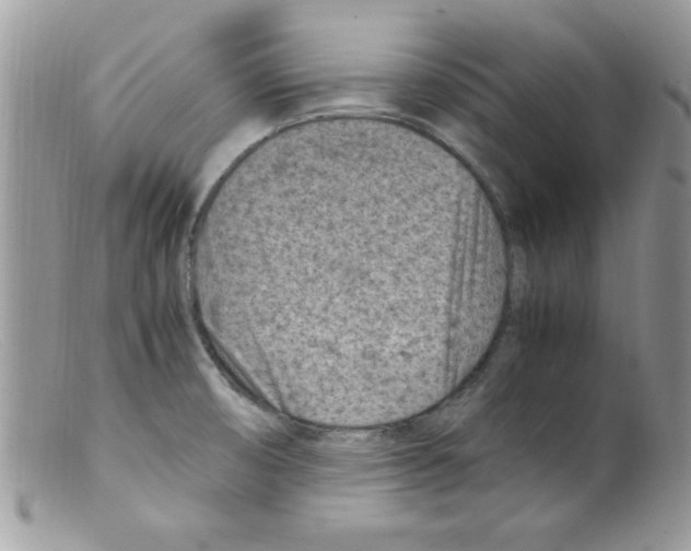 X0000098161474200805151217