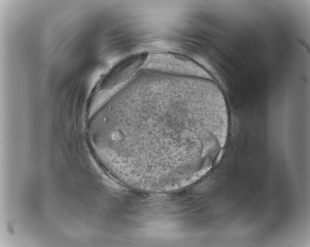 X0000098161477200805151217
