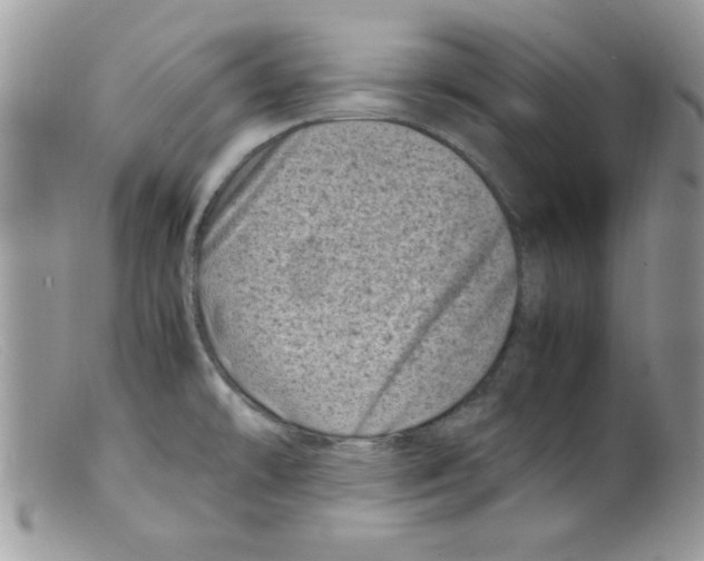 X0000098161478200805151217