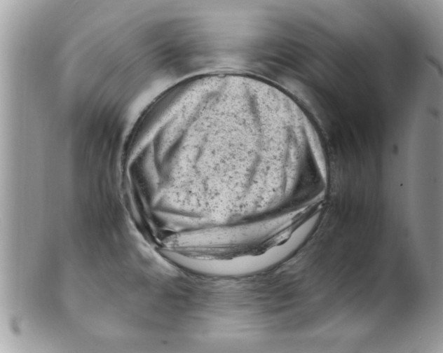 X0000098161480200805151217
