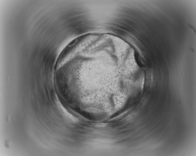 X0000098161484200805151217