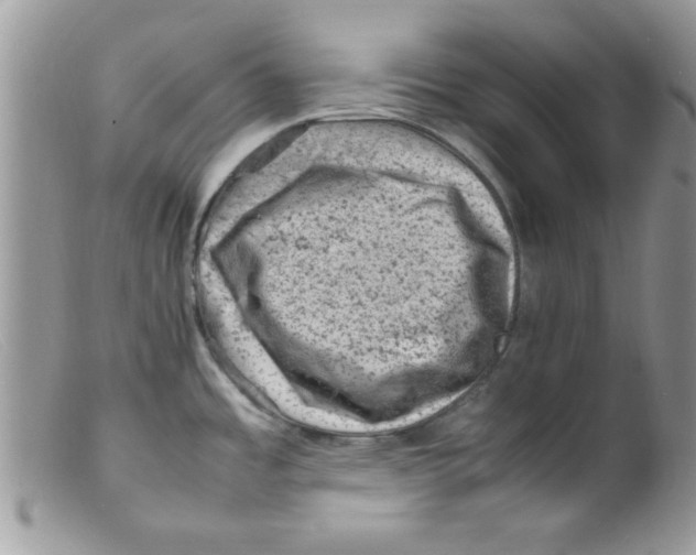 X0000098161485200805151217