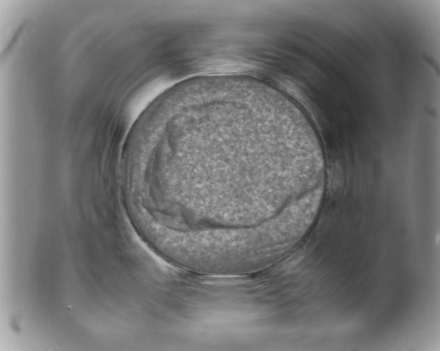 X0000098161487200805151217