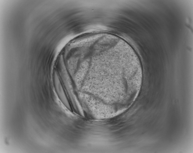 X0000098161488200805151217