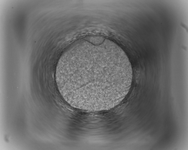 X0000098161489200805151216