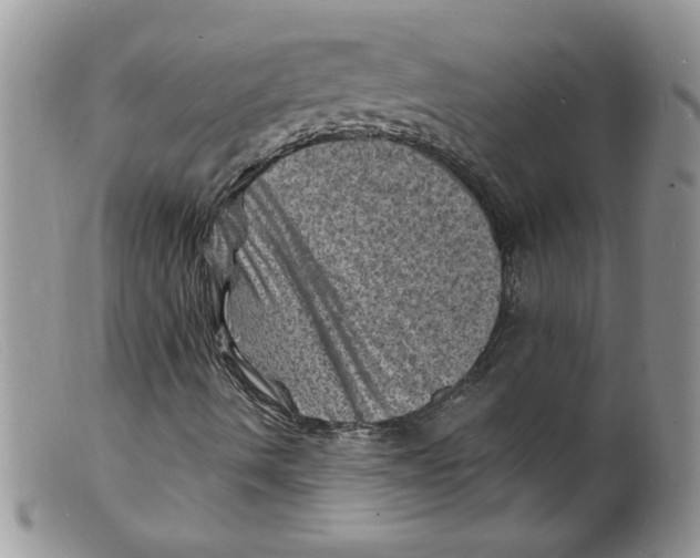 X0000098161490200805151216