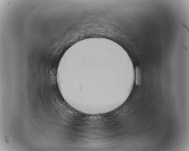 X0000098161491200805151216