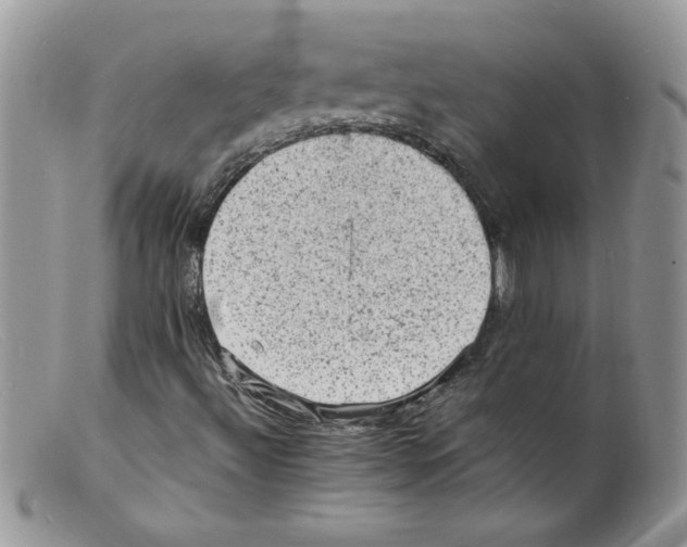 X0000098161492200805151216