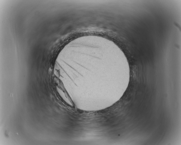 X0000098161493200805151216