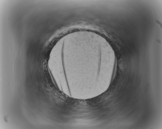 X0000098161495200805151216