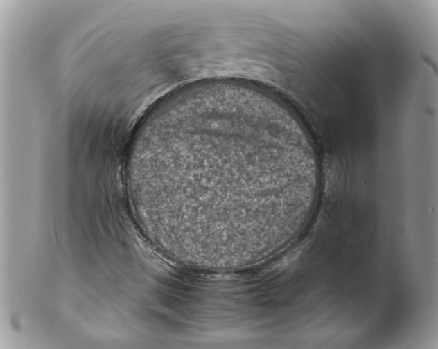 X0000098161497200805151216