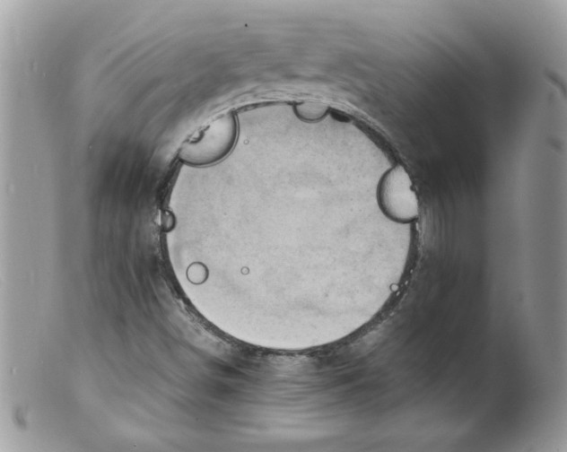 X0000098161498200805151216