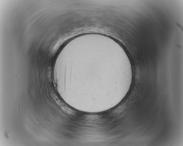 X0000098161499200805151216