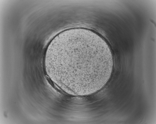 X0000098161500200805151216