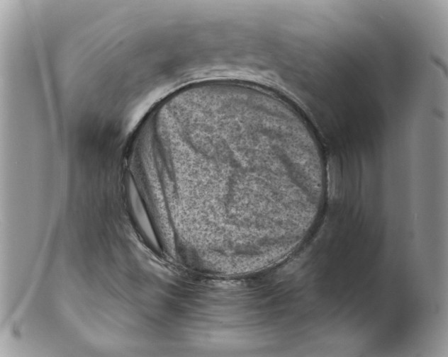 X0000098161501200805151216